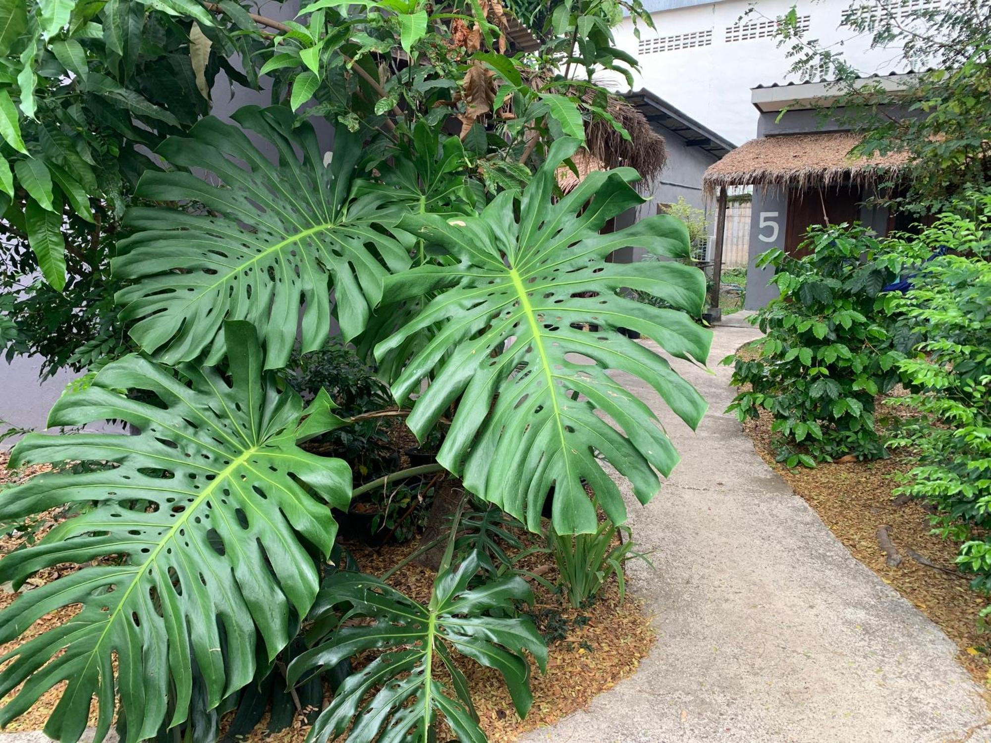 บ้านใจแปงโฮมสเตย์ Ban Jaipang Homestay Pai Exterior photo
