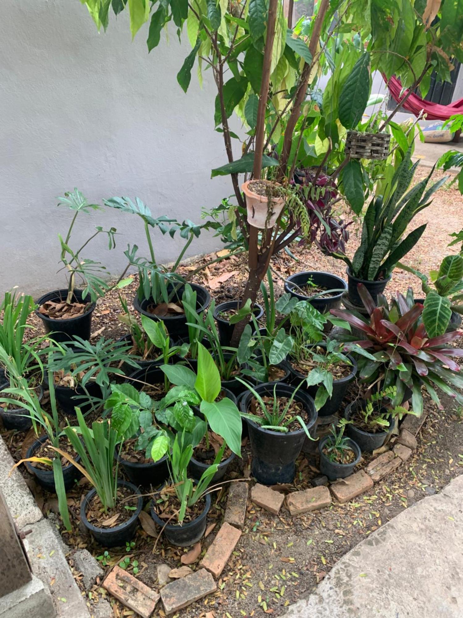 บ้านใจแปงโฮมสเตย์ Ban Jaipang Homestay Pai Exterior photo